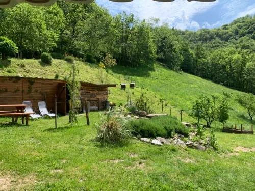 Green hillside and garden area with loungers.
