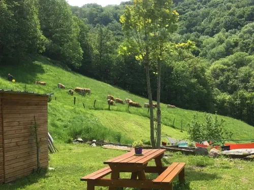 Outdoor picnic table overlooking green hills and cattle.