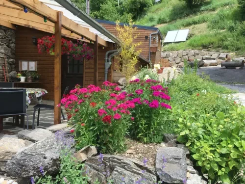 Garden with pink flowers.
