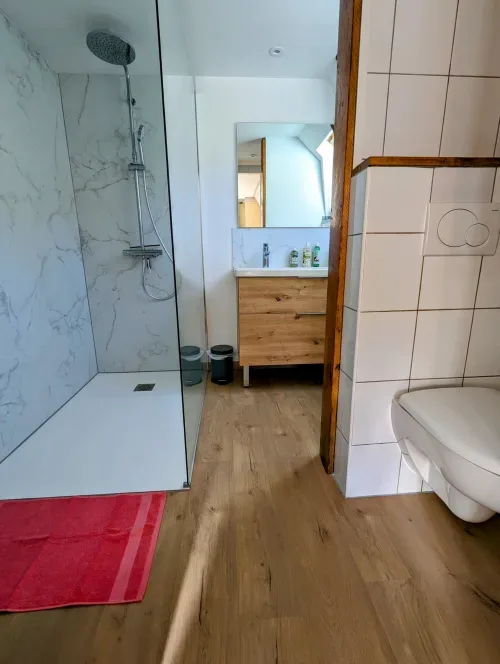 Bathroom with shower, vanity, and toilet.
