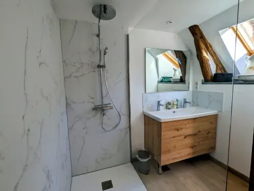 Bathroom with a shower and wooden vanity.