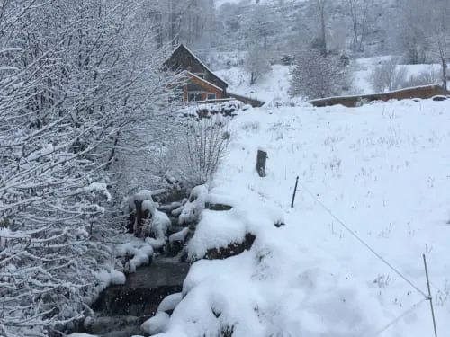 Snowy winter landscape with a stream and wooded surroundings.