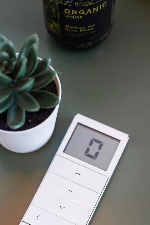 Una báscula digital y una suculenta en maceta están sobre una mesa.