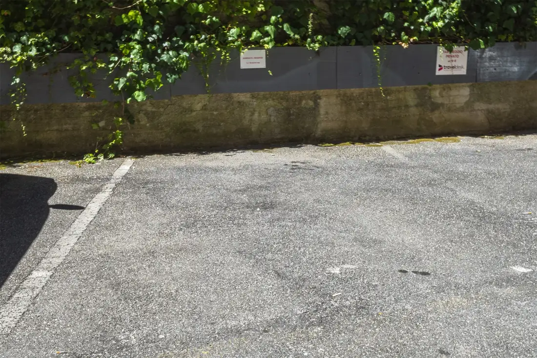 Una zona exterior pavimentada está delimitada por un muro bajo y vegetación colgante.