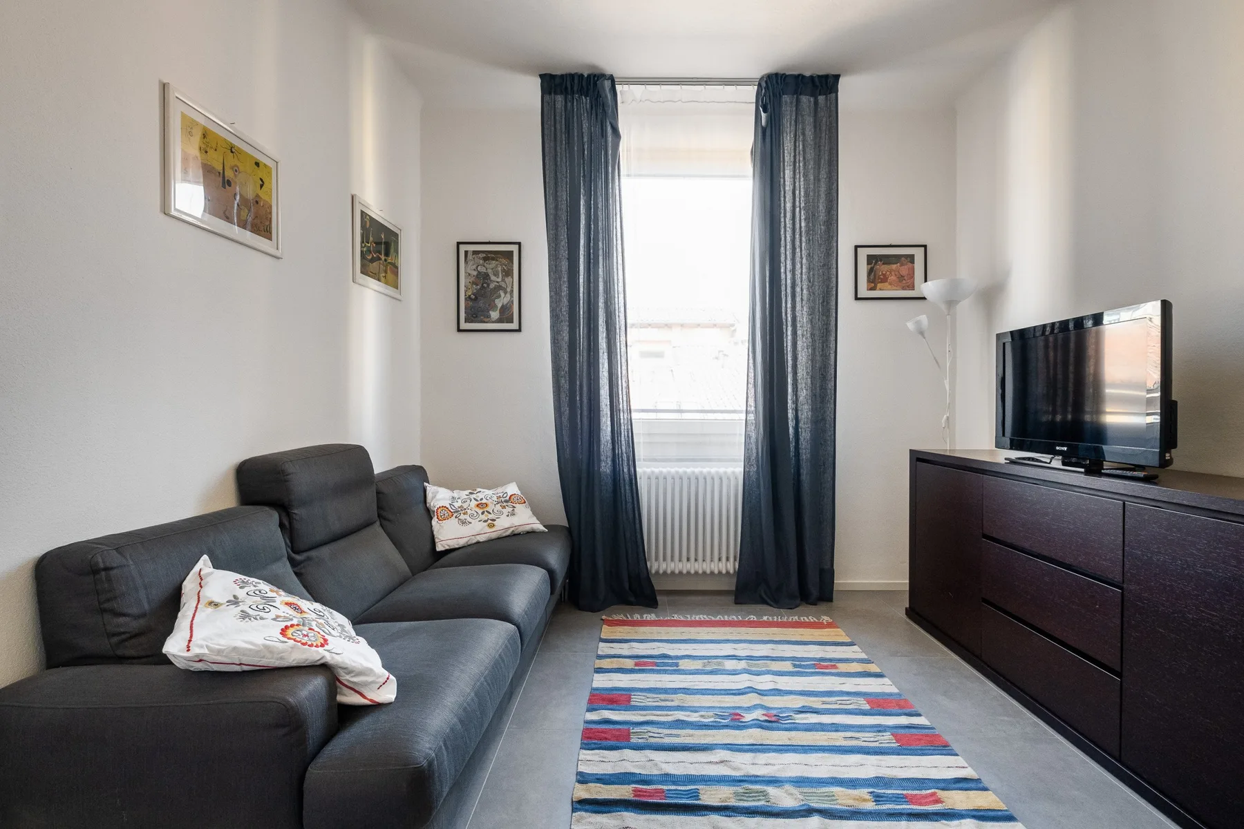 A living room with a dark sofa, a television, and a striped rug.