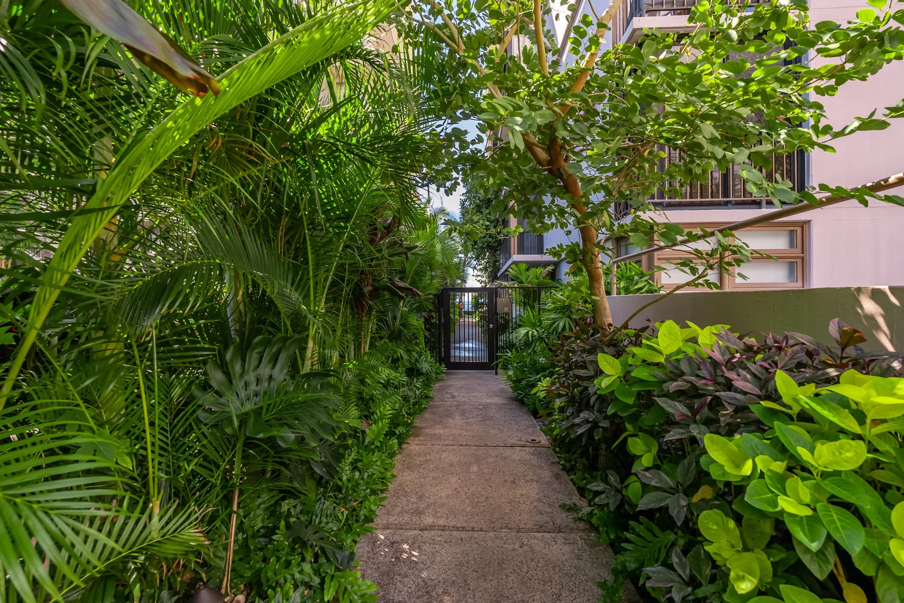Un sendero de jardín atraviesa una vegetación frondosa y conduce a una entrada con reja.