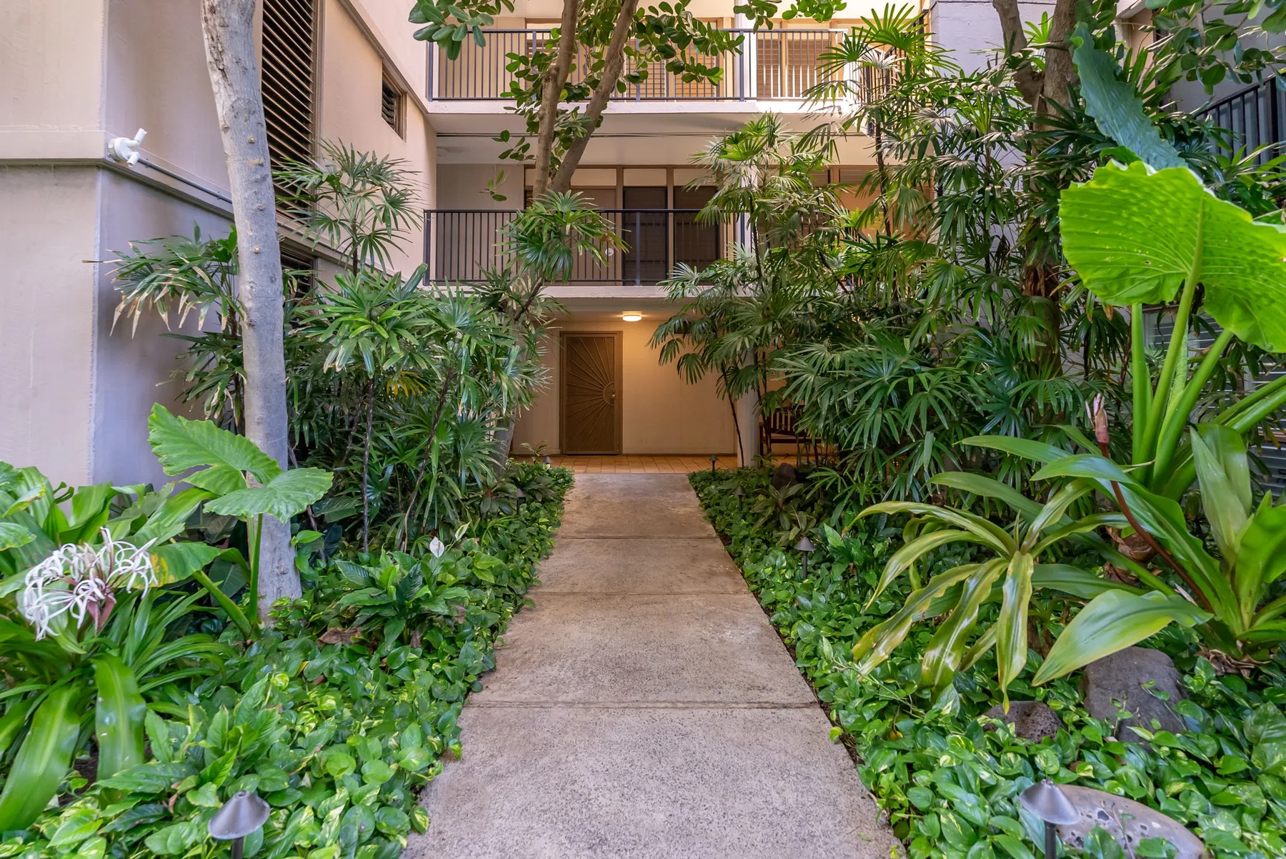Un camino pavimentado atraviesa una densa vegetación tropical y conduce a un edificio de varios pisos.