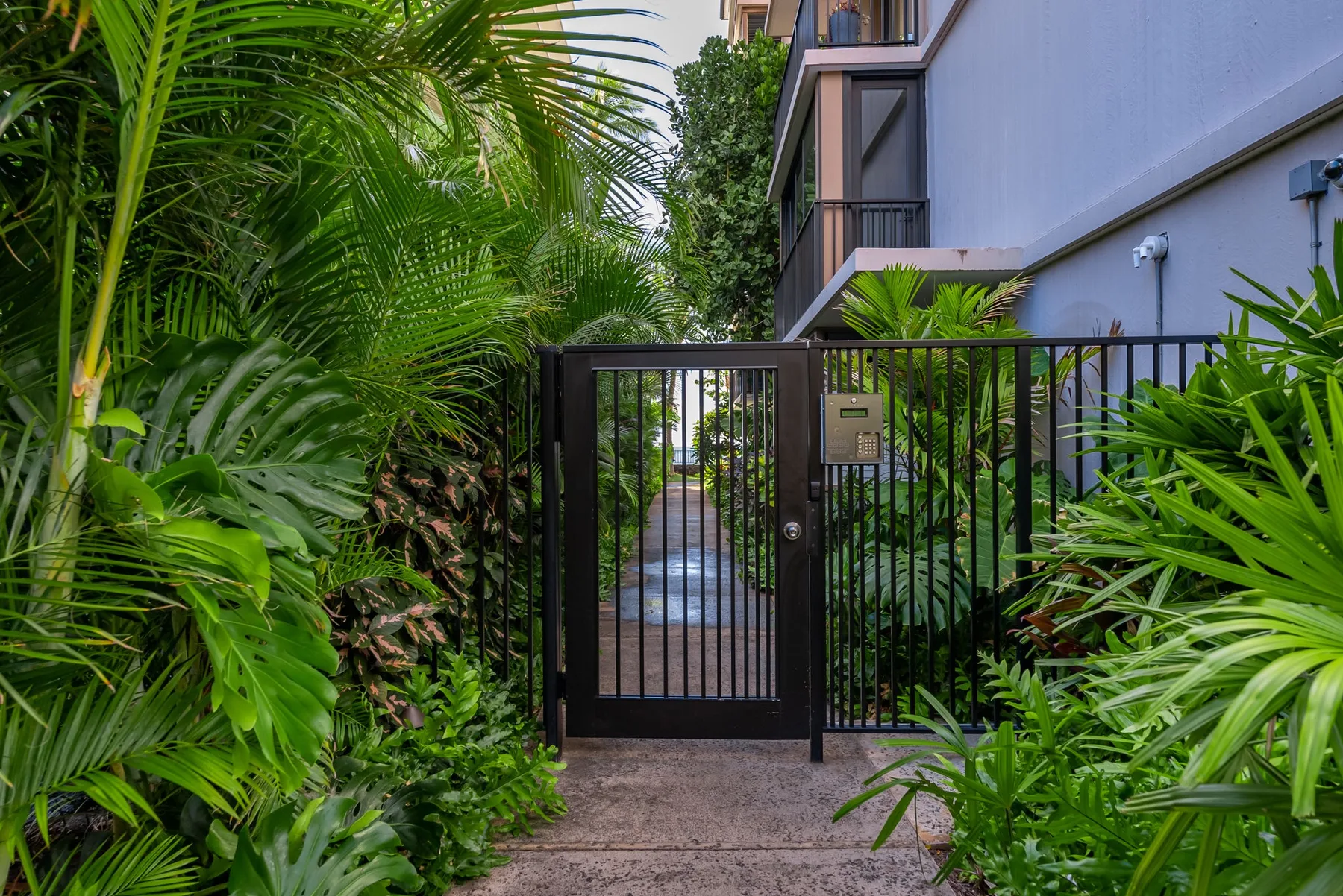 Un sendero ajardinado con reja bordea un edificio, rodeado de exuberantes plantas tropicales.