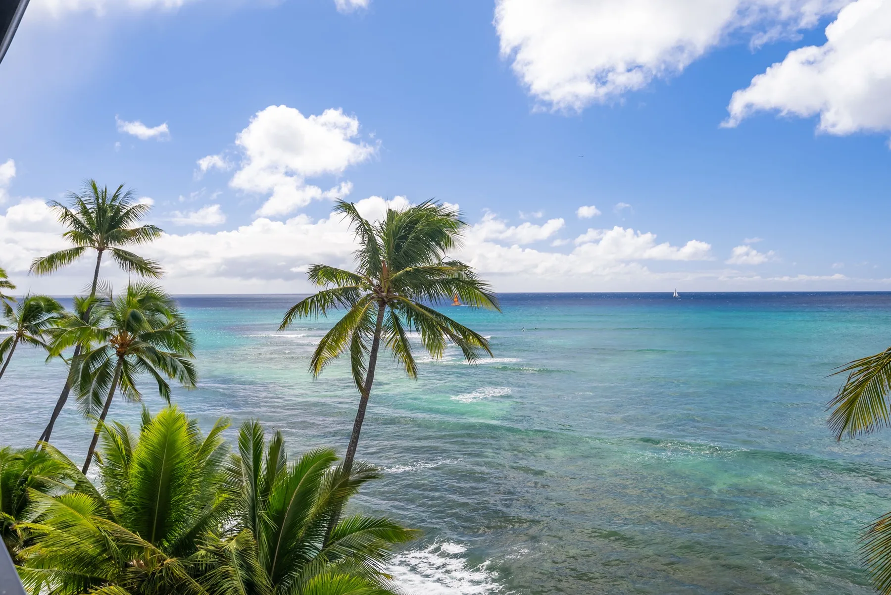 Una costa tropical con palmeras frente a aguas turquesas.