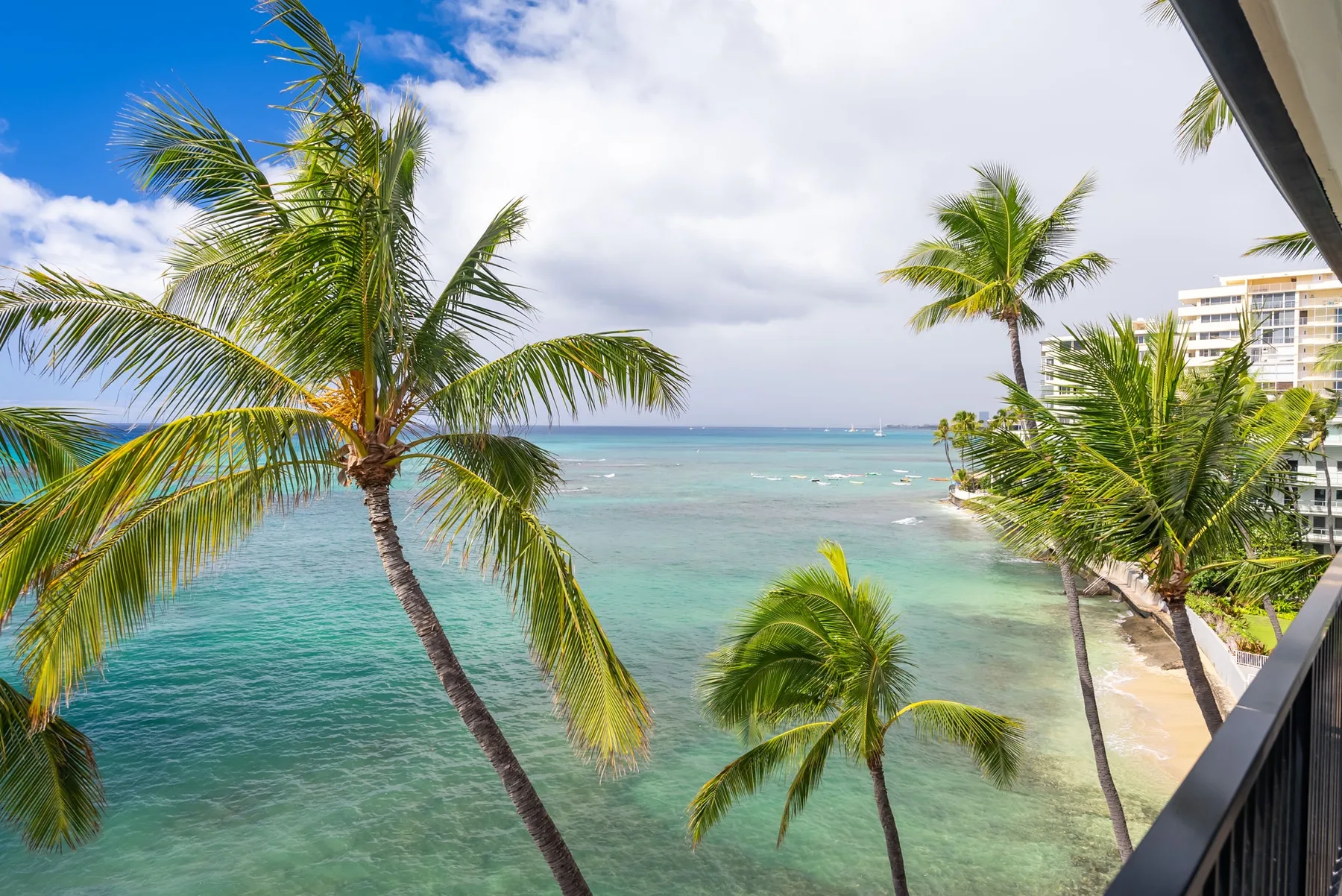 Una costa tropical con palmeras y agua turquesa.