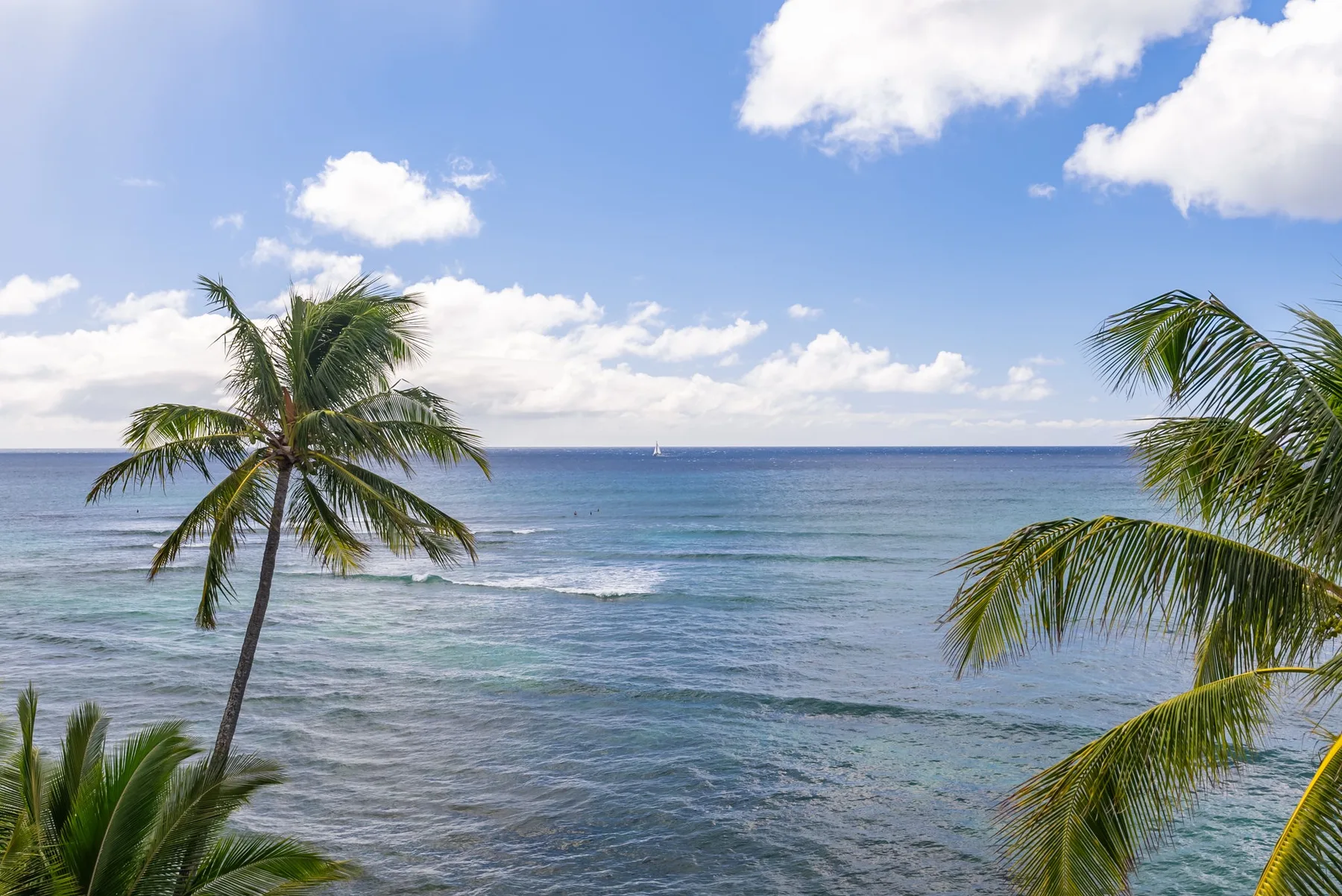 Vista de un océano tropical con palmeras enmarcando el agua.