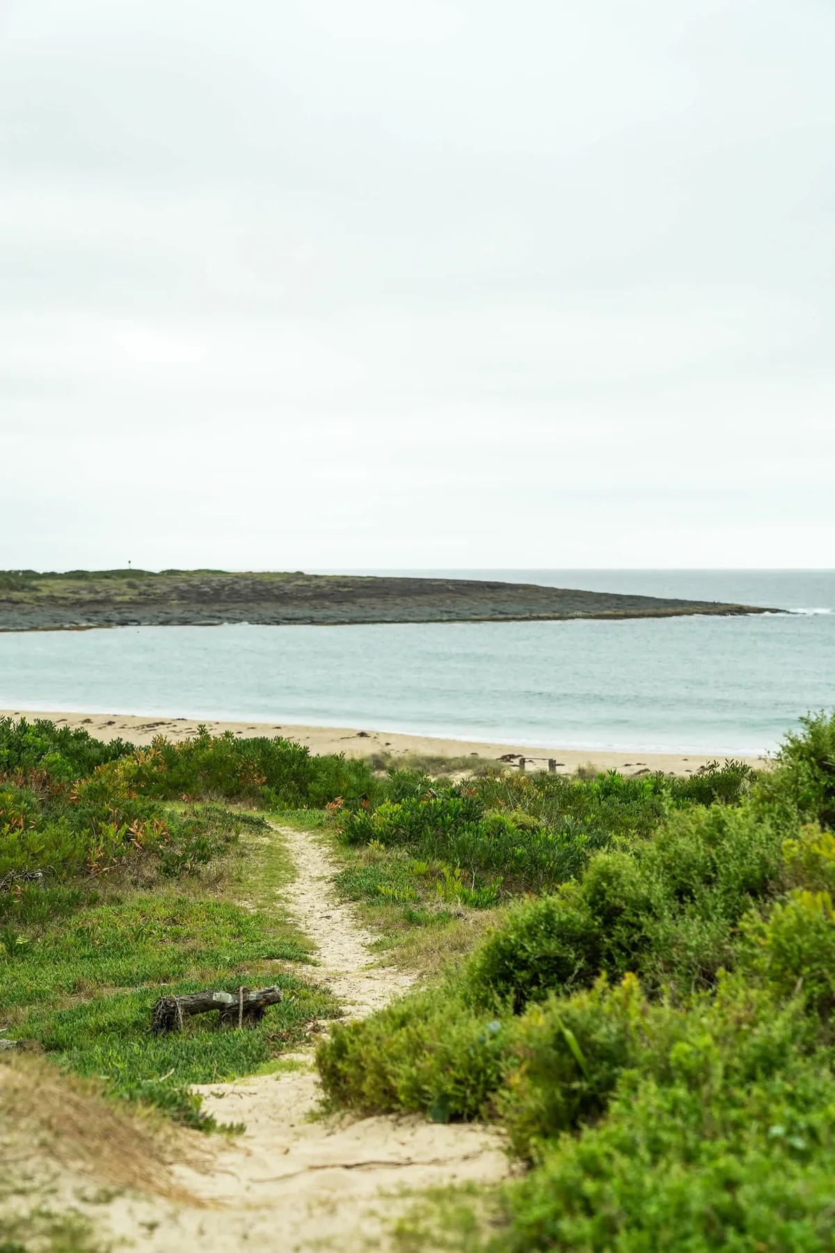 Un sendero de arena atraviesa la vegetación costera hacia la playa y aguas tranquilas.