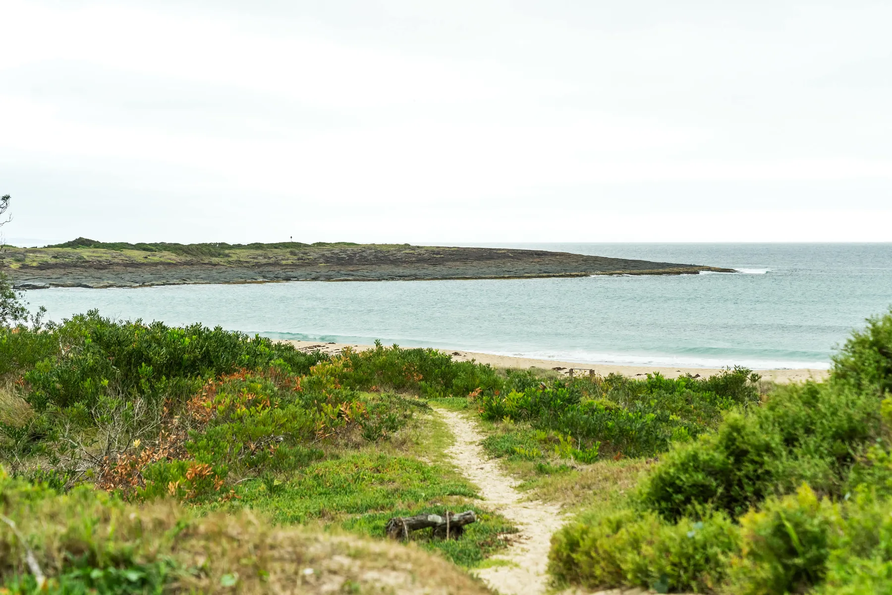 Un sendero de arena atraviesa la vegetación costera hacia una playa tranquila.