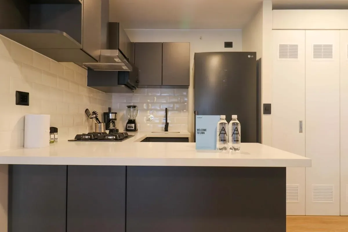 Stylish 1BR in San Isidro