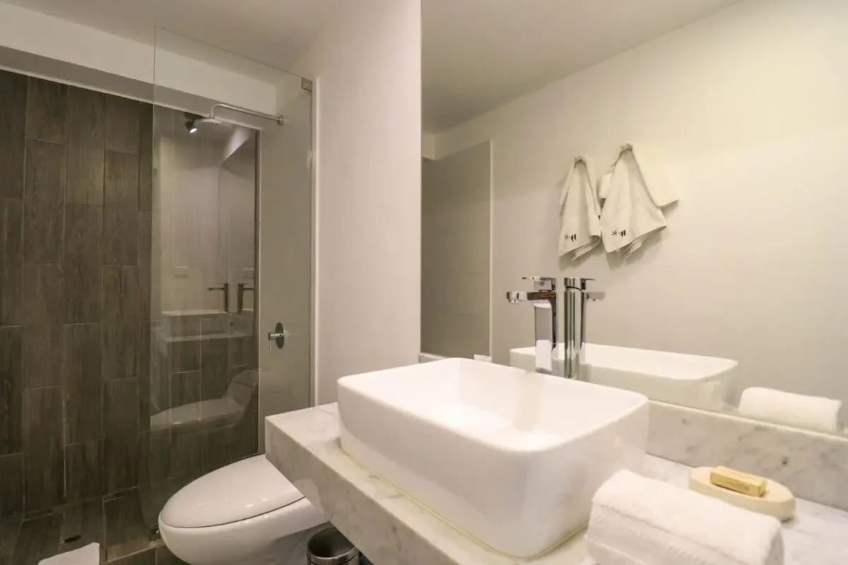 Lovely 1BR with Park View in Miraflores