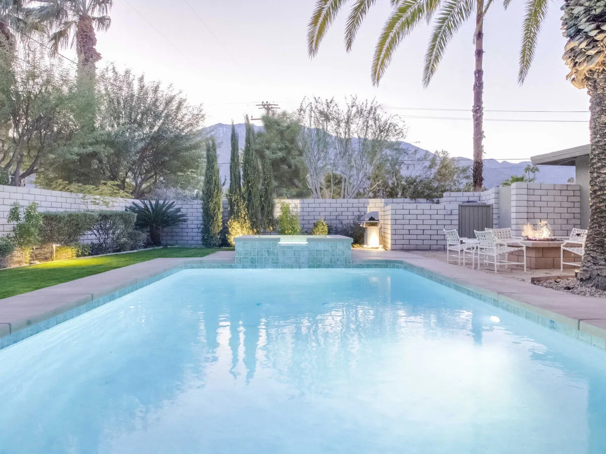 Canary Palms