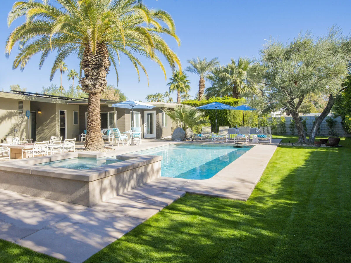 Canary Palms