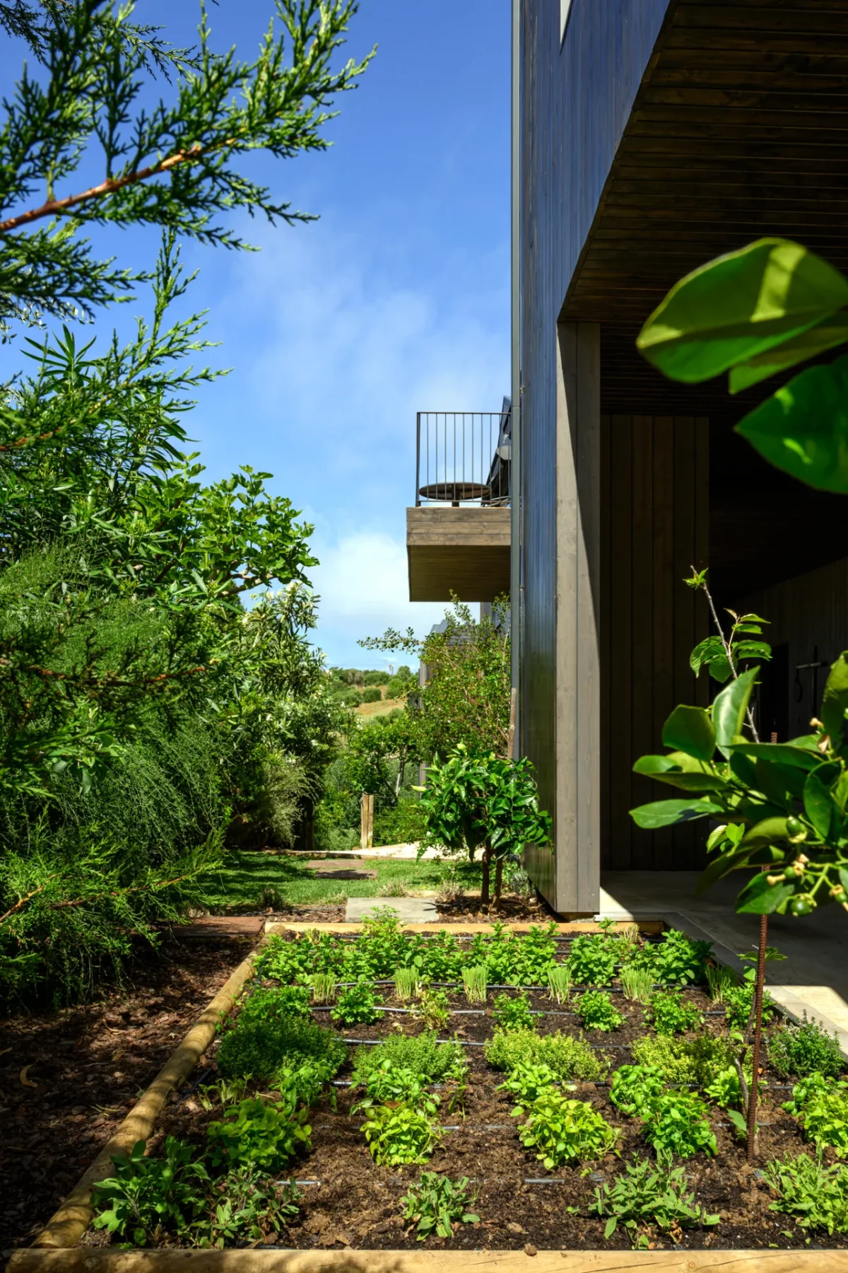Herb garden