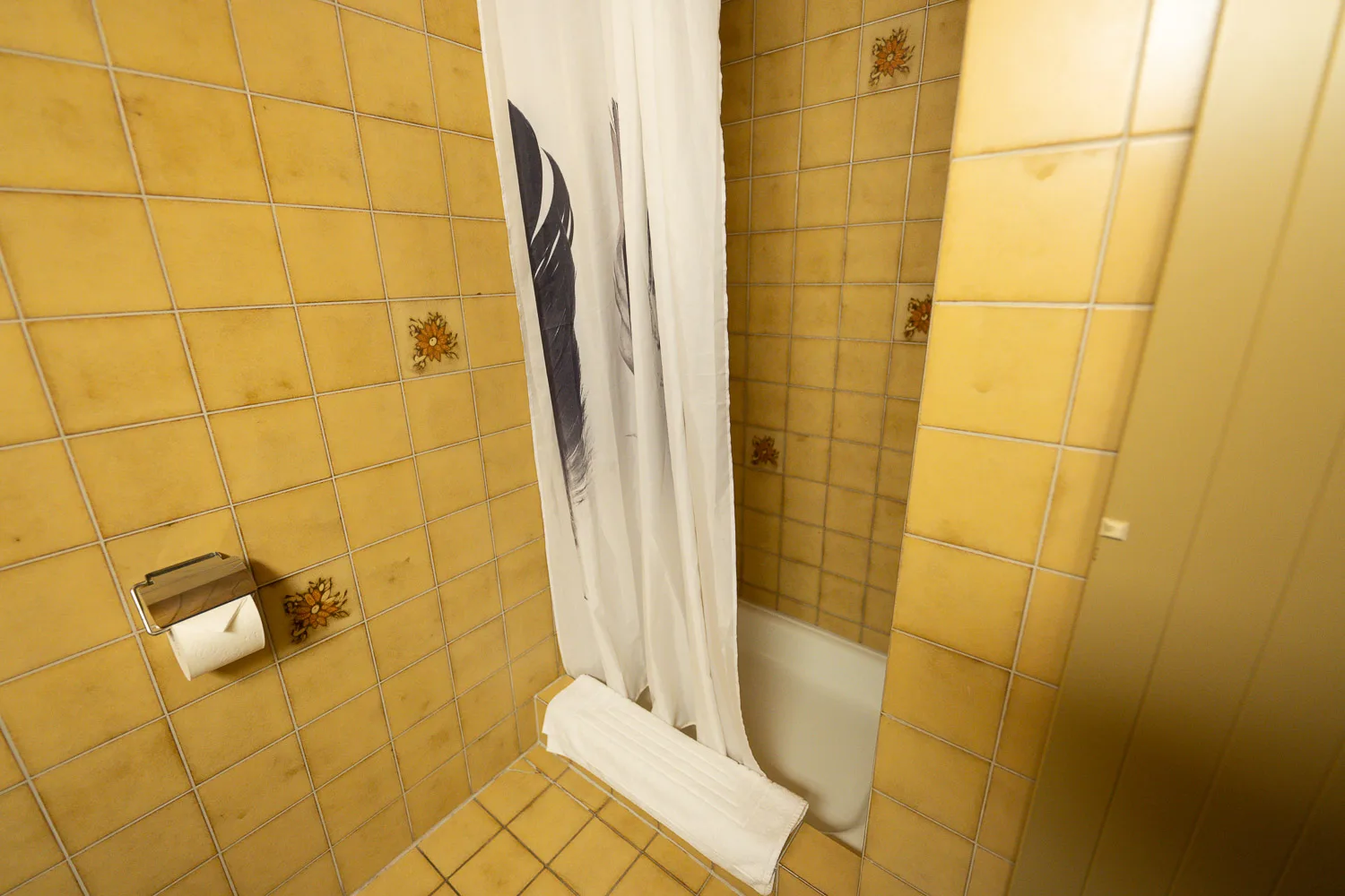 Shower and bathtub in a twin room