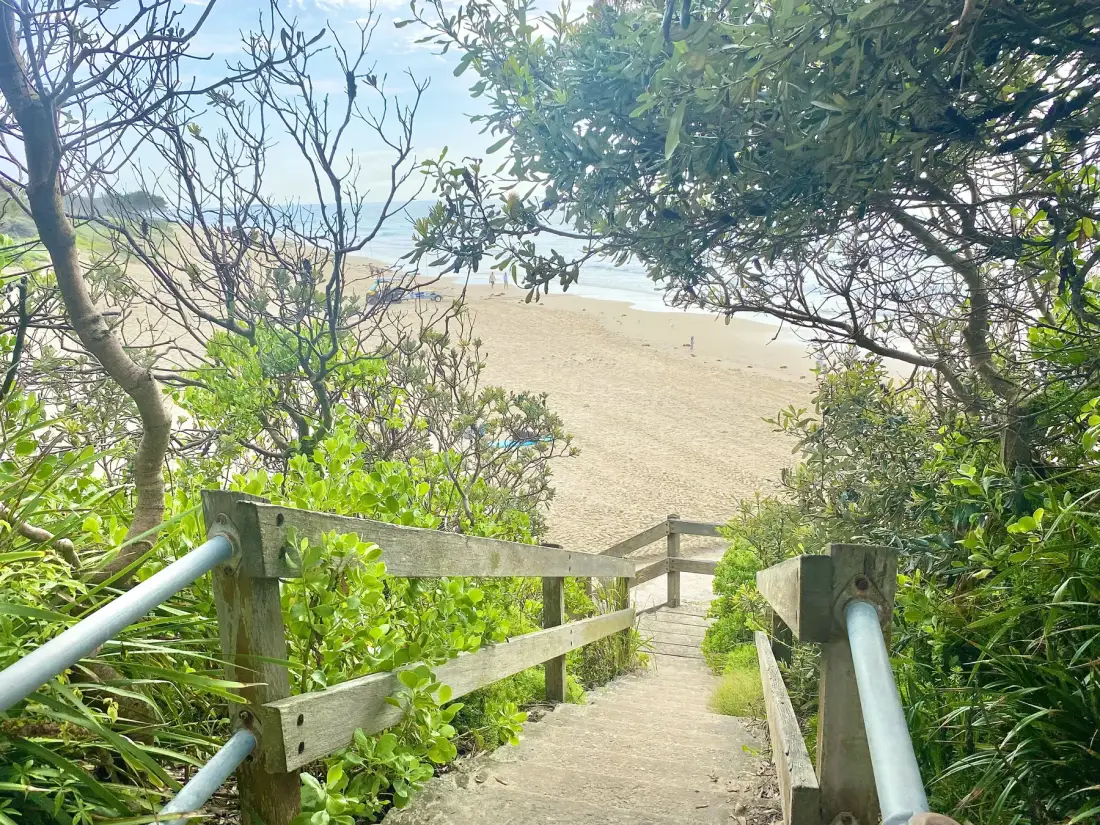 A wooden walkway passes through leafy trees toward a sandy beach.