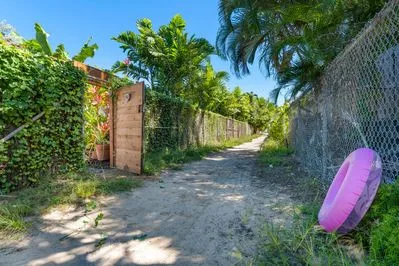 Un camino de arena pasa entre vegetación frondosa y una cerca de malla metálica.