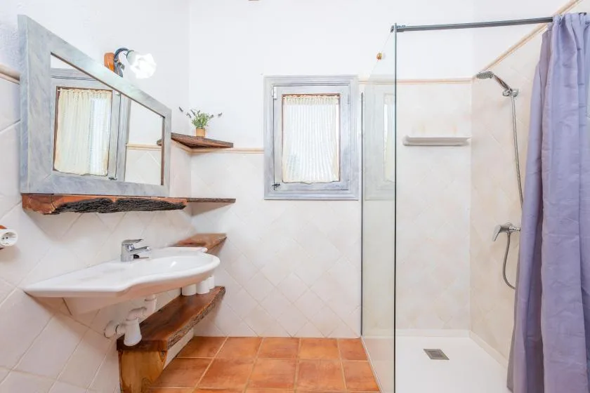 Un baño con lavabo, espejo de pared y ducha.