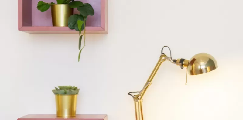 Una lámpara de latón y plantas en macetas decoran una pared clara con estantes rosados.