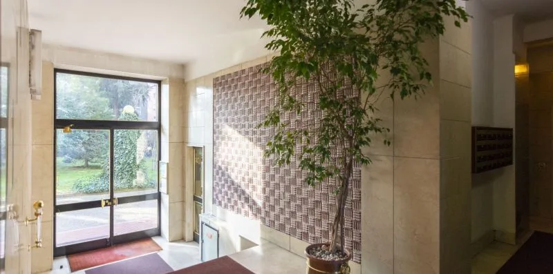 Un vestíbulo luminoso con puertas de vidrio, una pared estampada y un árbol en maceta.