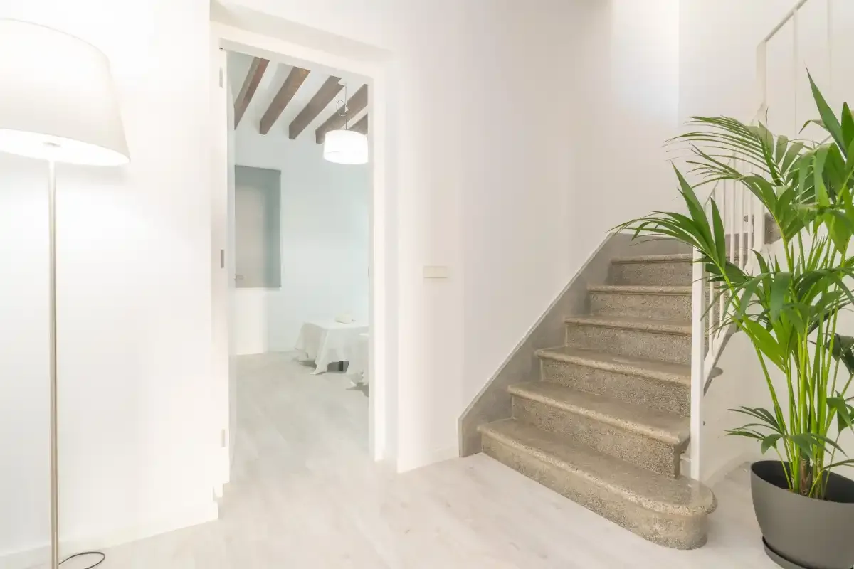 Un pasillo interior luminoso con una escalera y una planta en maceta.