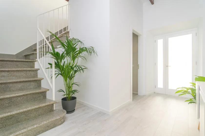 Un pasillo interior luminoso con una escalera, plantas en macetas y una puerta acristalada.