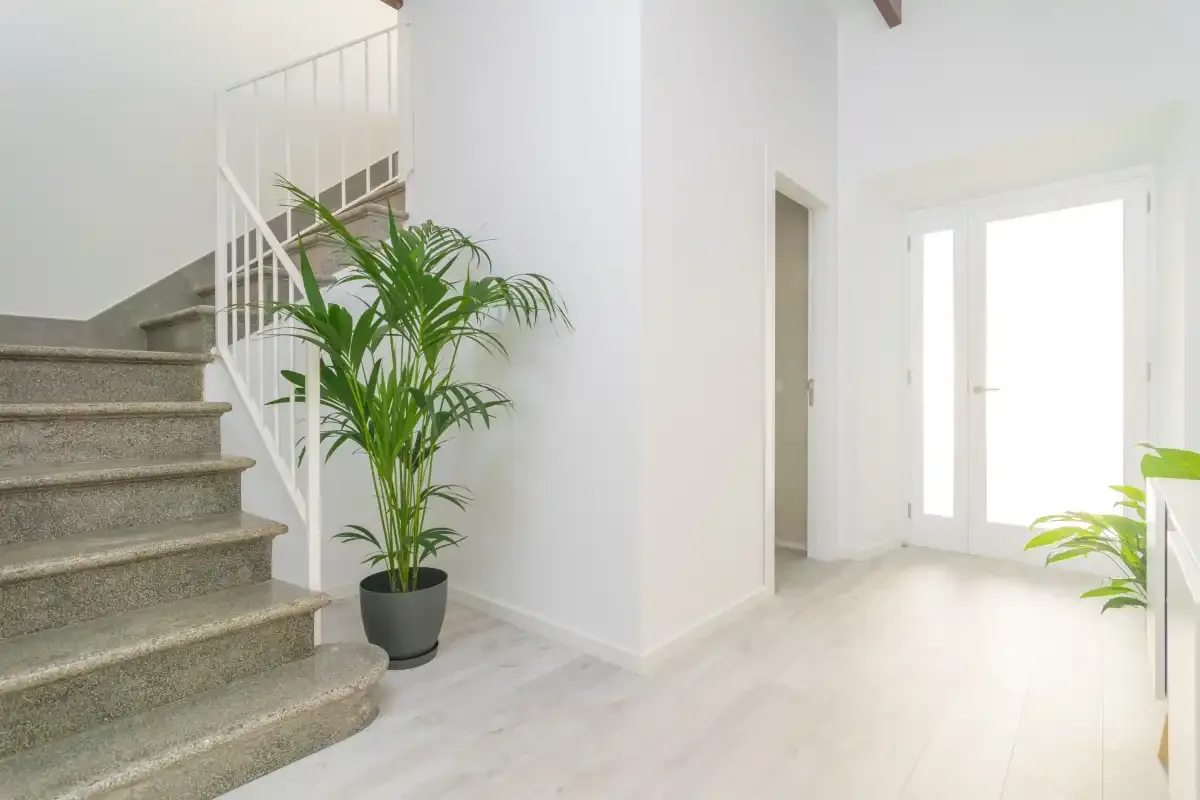 Un pasillo interior luminoso con una escalera y plantas en macetas.