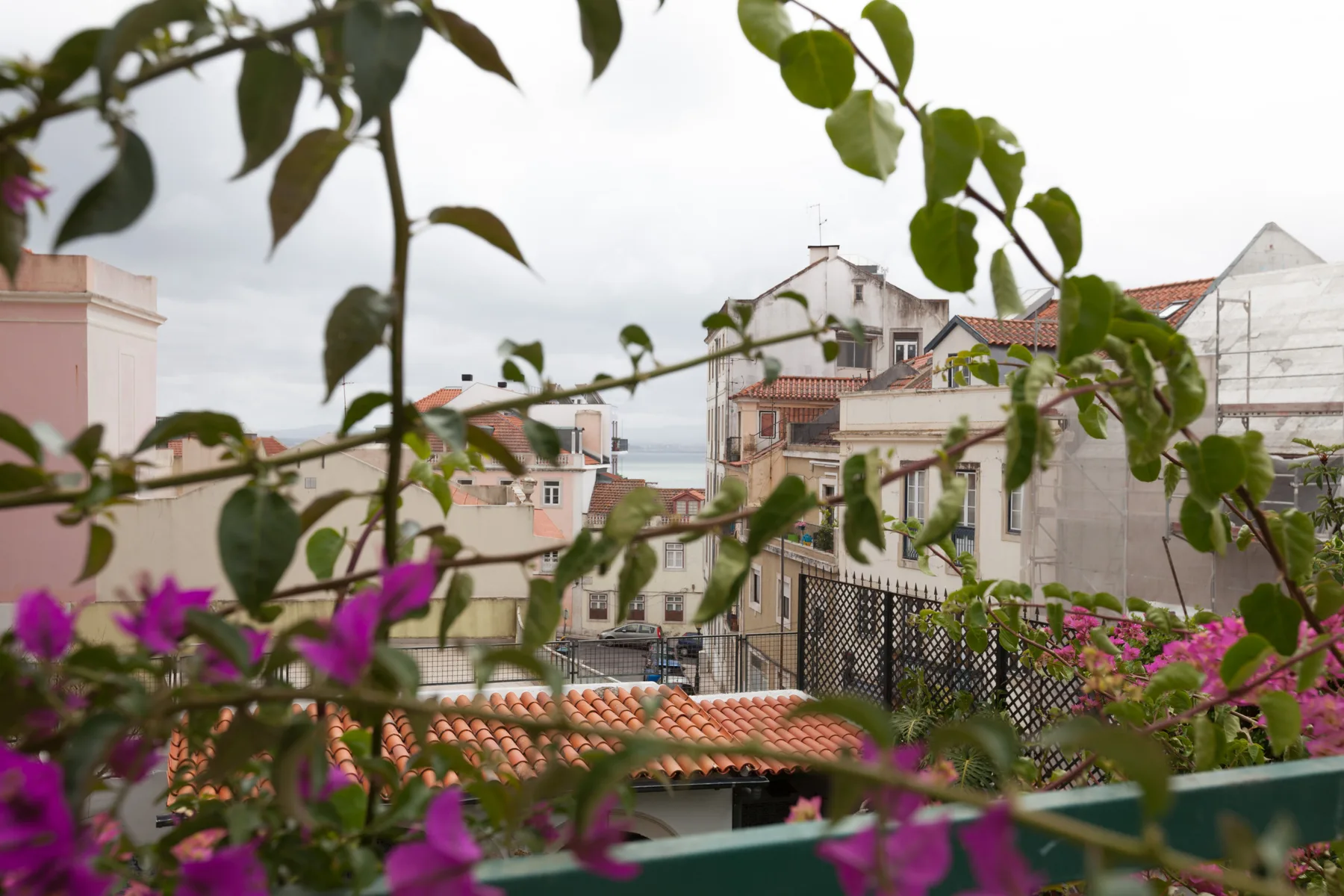 Una terraza da a tejados y edificios cercanos.