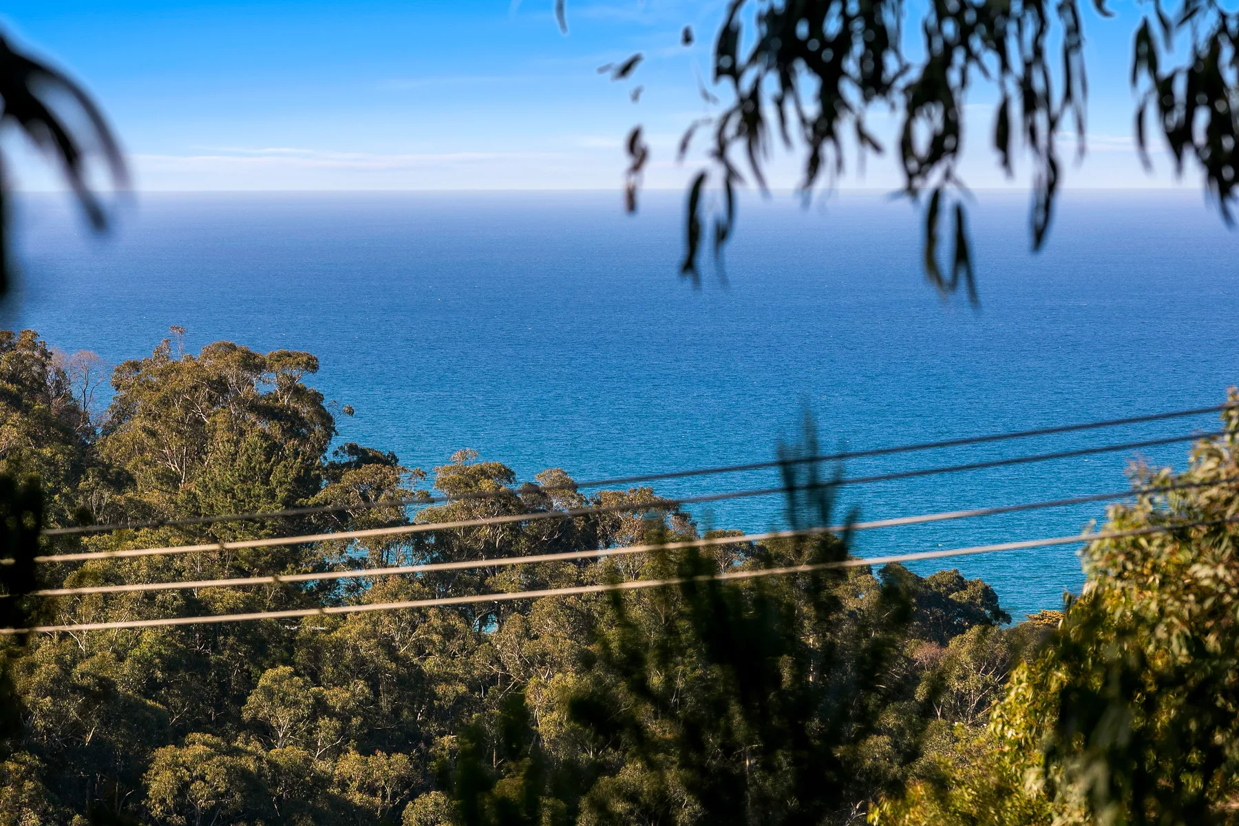 A coastal view shows blue ocean beyond trees and overhead power lines.