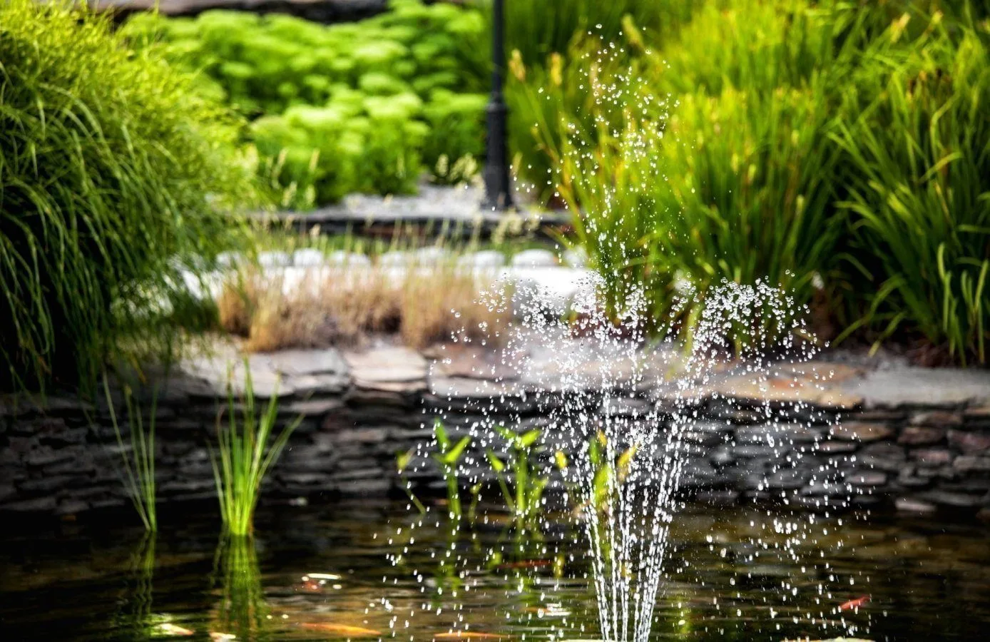 Hotel garden