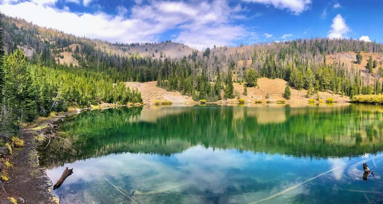 Un lago de montaña refleja el bosque de coníferas y el cielo azul con nubes.