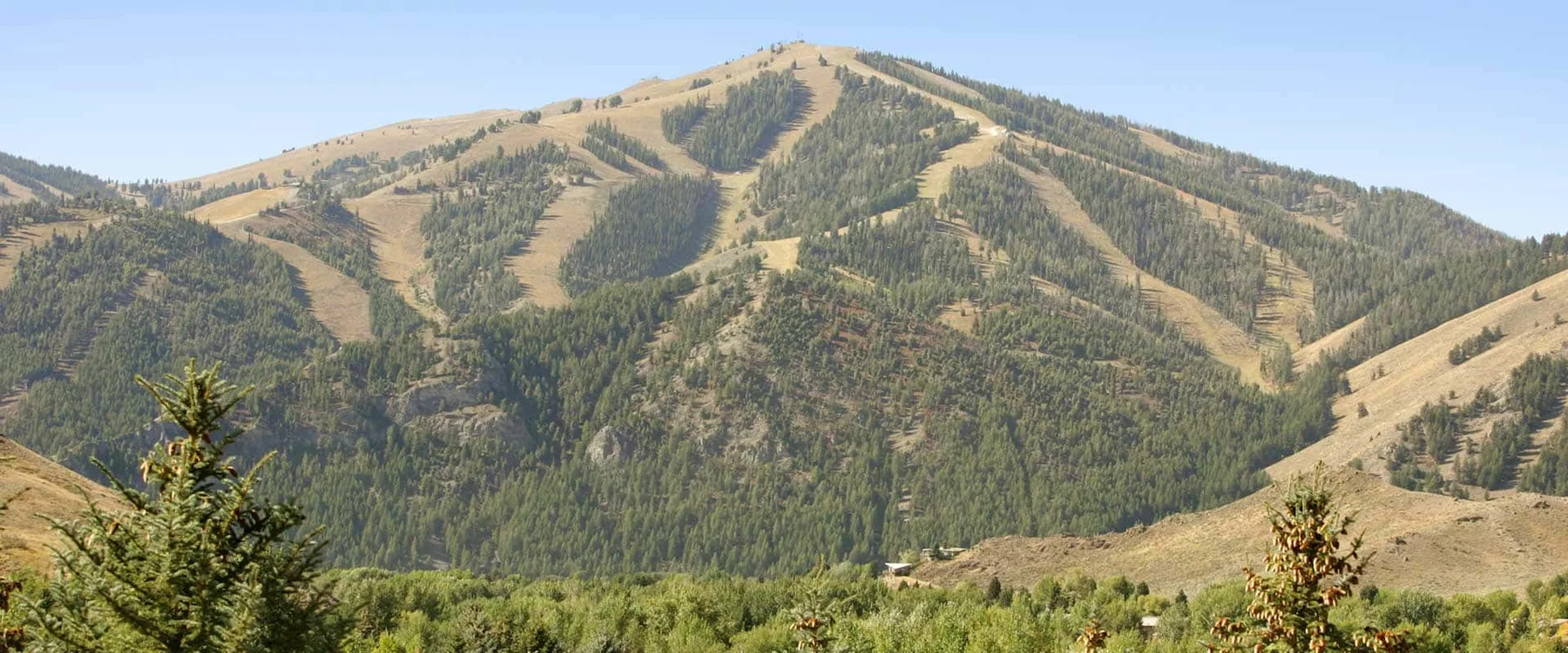 Paisaje montañoso con laderas boscosas y franjas abiertas de hierba.