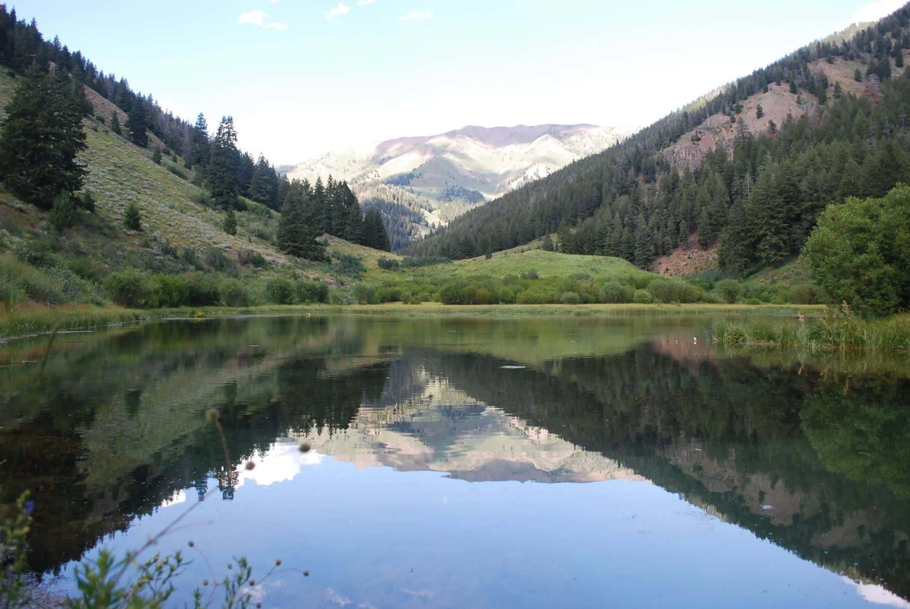 Un lago de montaña refleja las laderas boscosas y los picos lejanos.