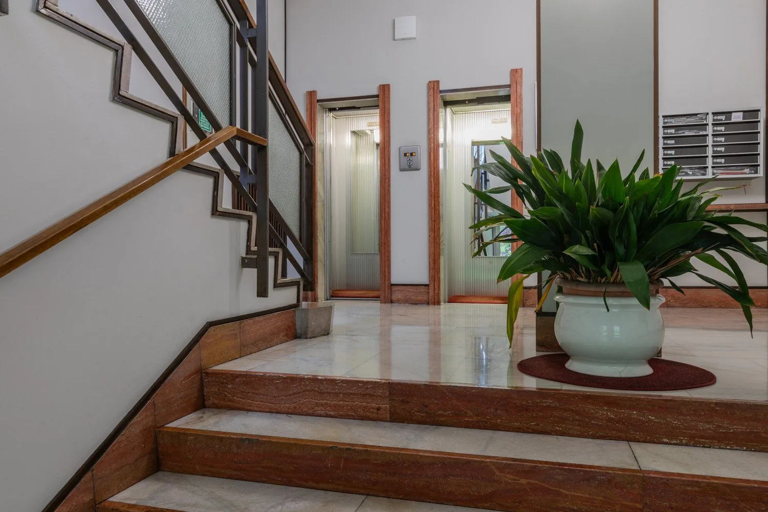 An interior stair landing with a potted plant beside the steps.