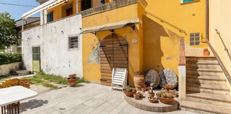 Un patio soleado junto a un edificio amarillo, con plantas en macetas y asientos al aire libre.