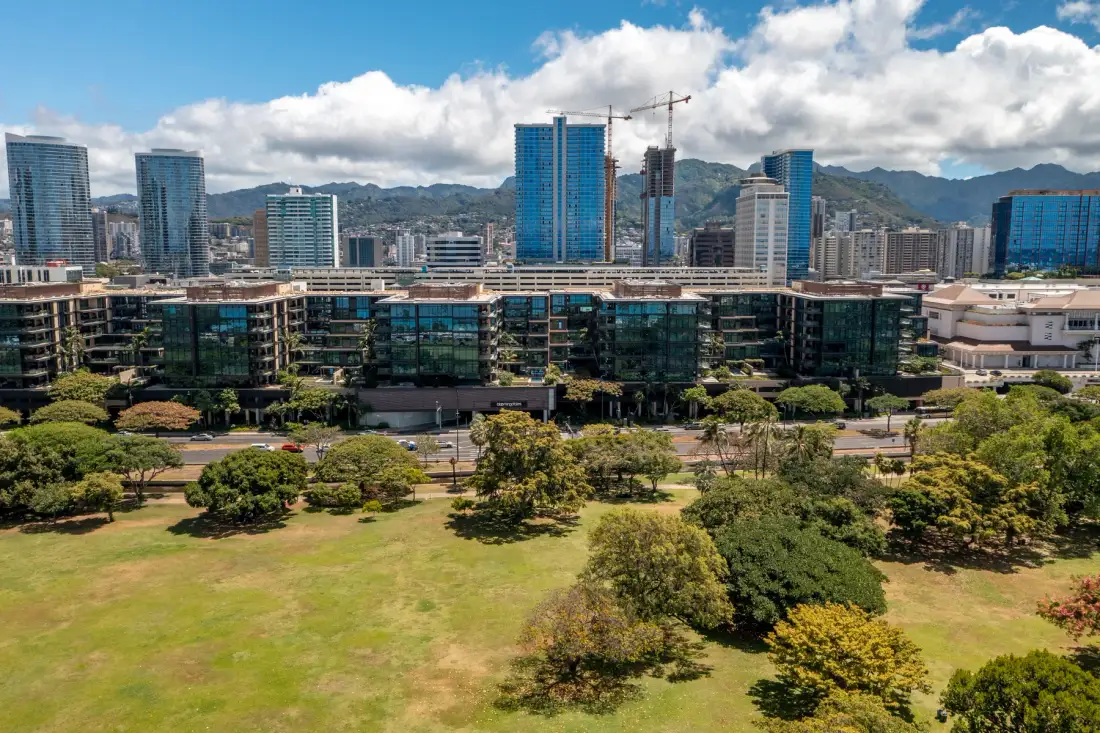 An urban park with grassy lawns and trees sits in front of a city skyline.