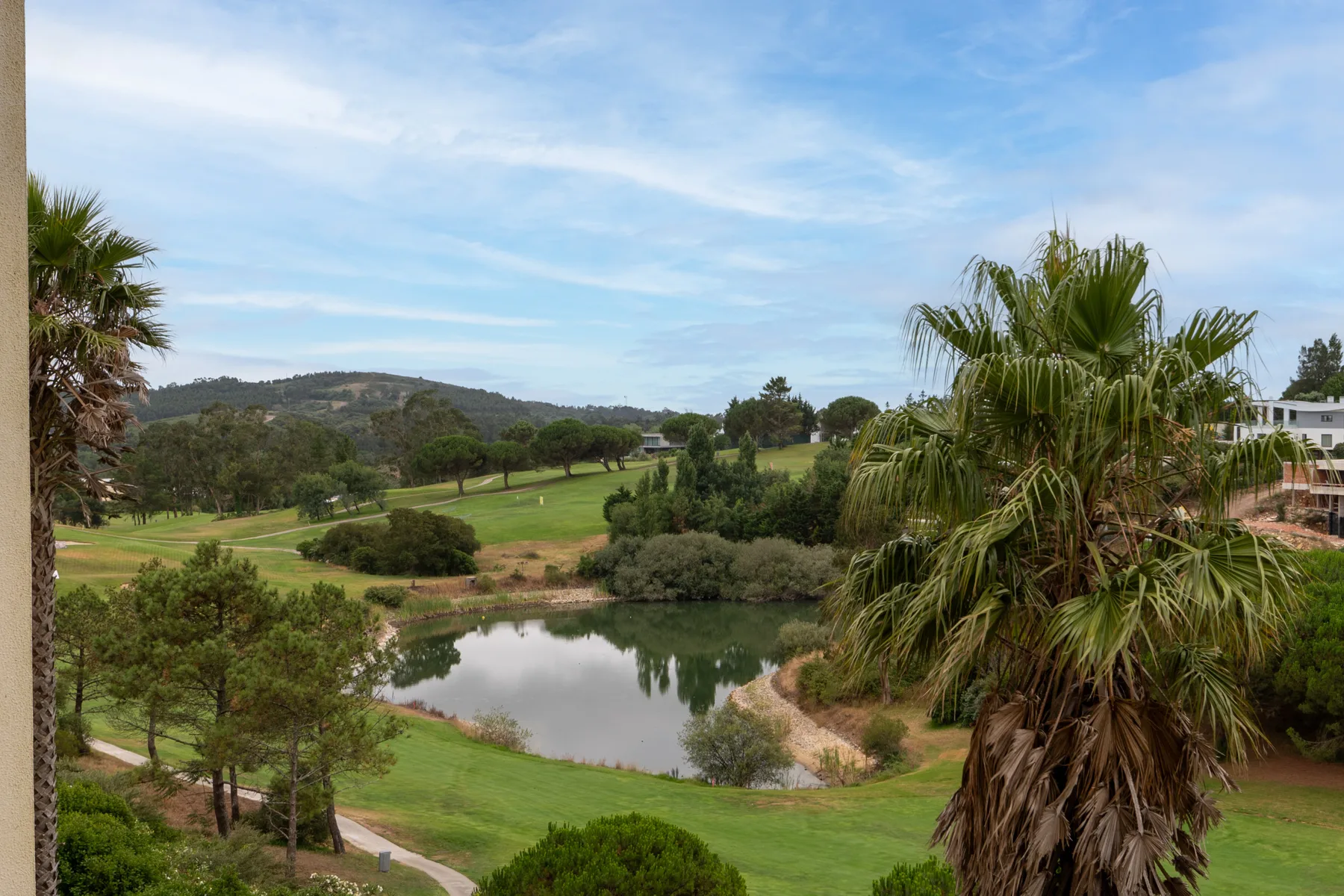 A golf course landscape with a pond, green fairways, and palm trees.