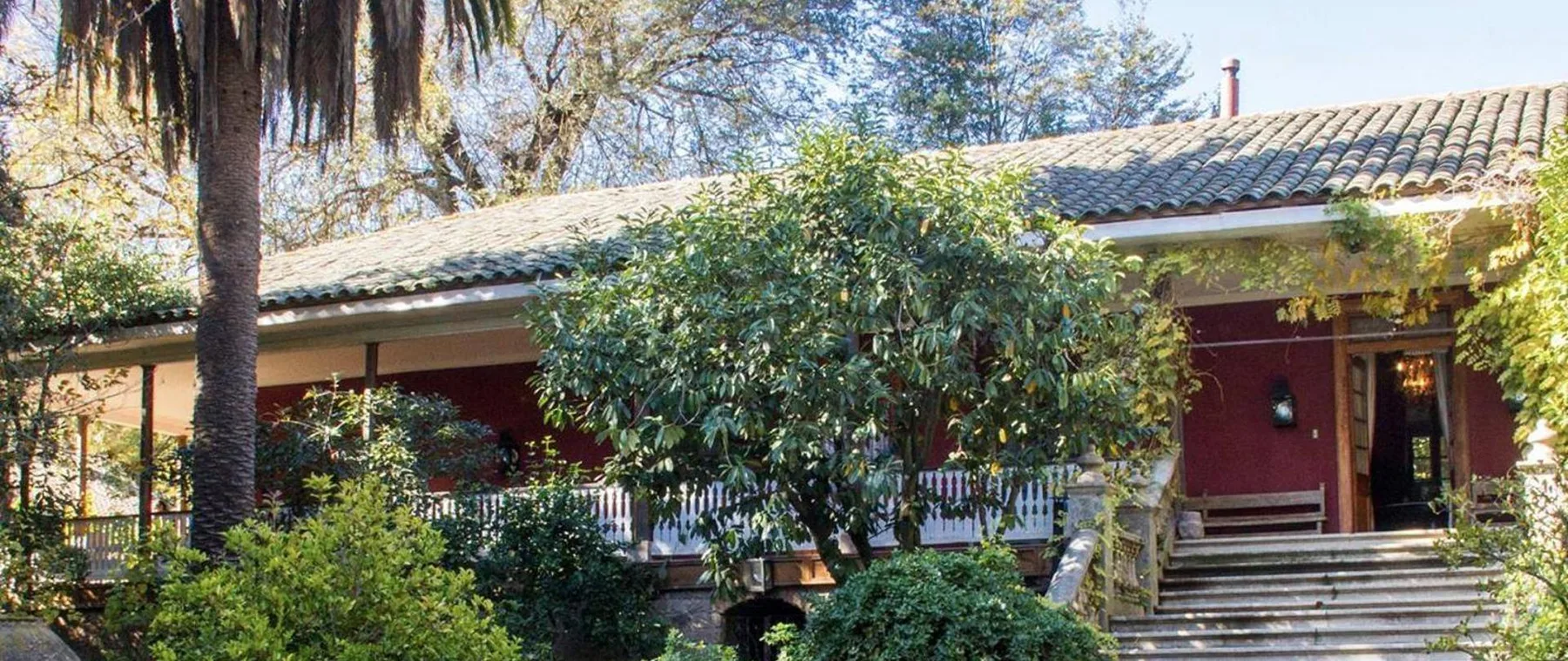 Árbol en la hacienda