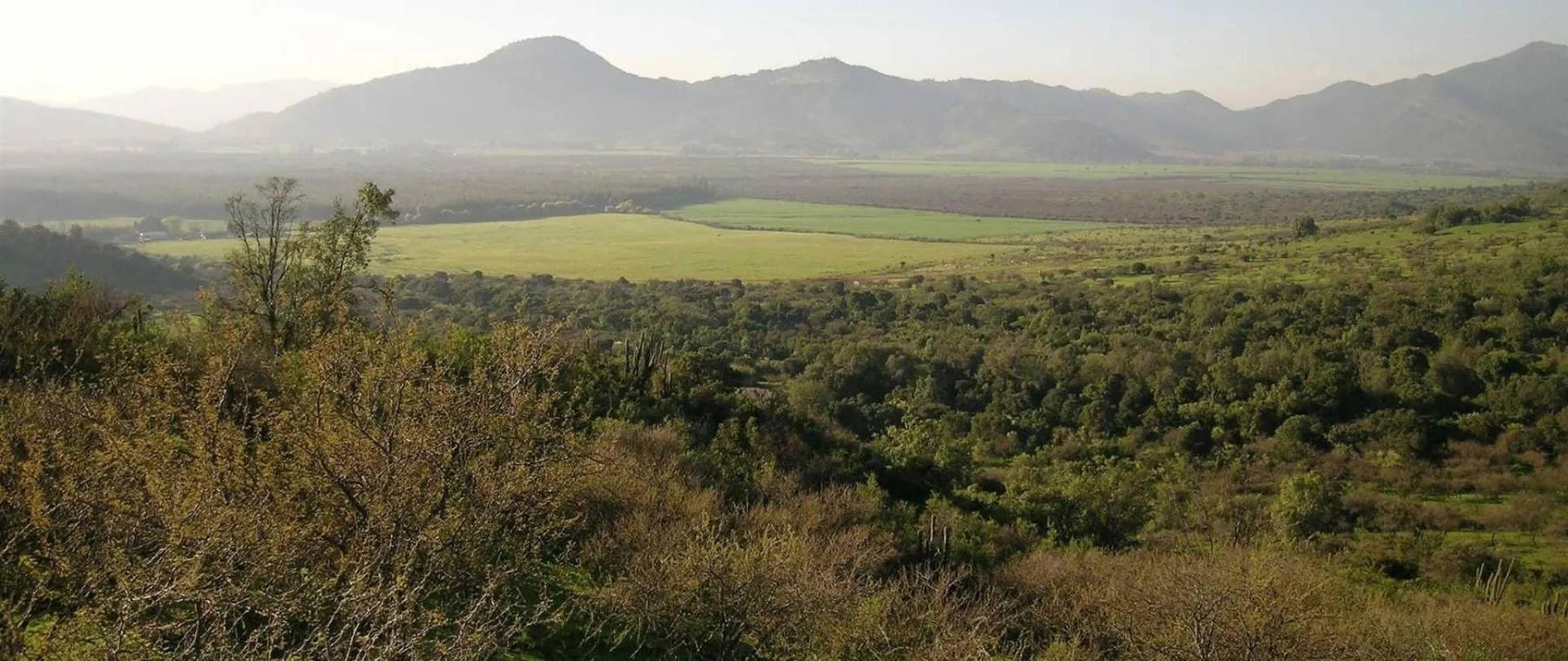 Valle de Hacienda Los Lingues