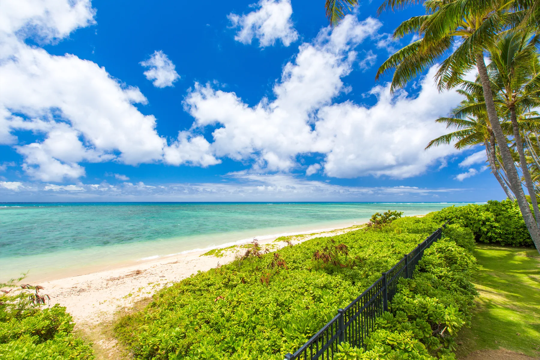 Una playa tropical con agua turquesa, vegetación costera verde y palmeras.