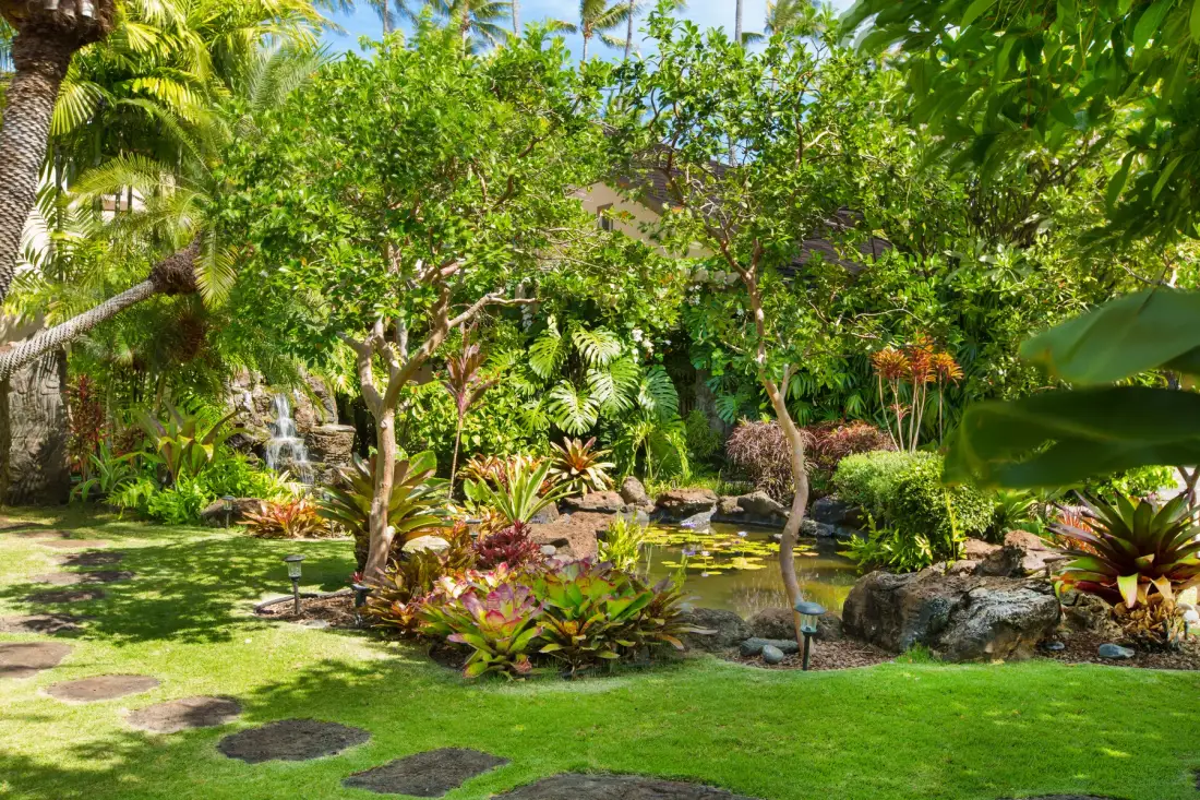 Un frondoso jardín tropical con un pequeño estanque y piedras para caminar.
