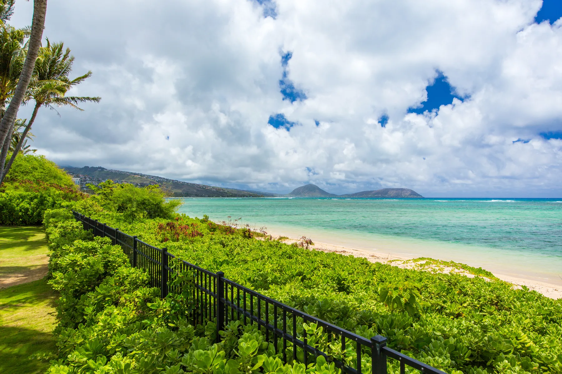 Una playa tropical y aguas turquesas se ven más allá de un jardín verde y una cerca negra.