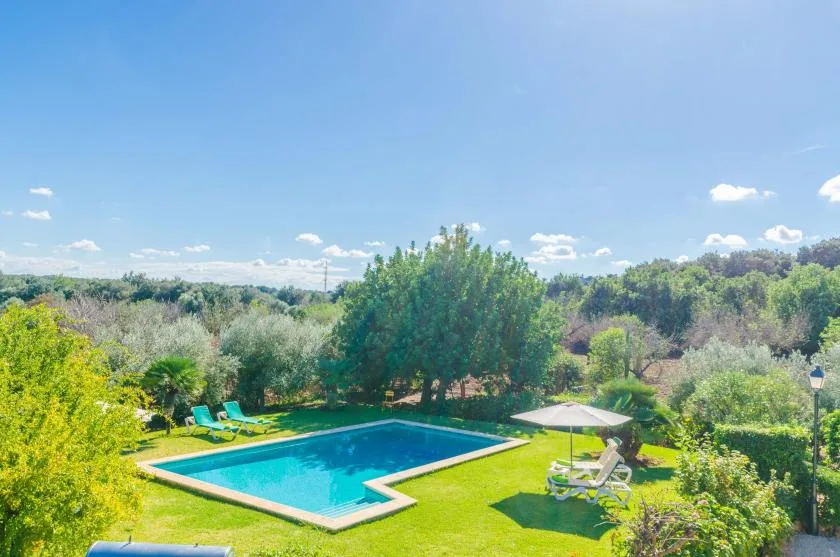 Una piscina está en un jardín ajardinado bajo un cielo azul despejado.