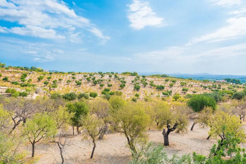 Un paisaje seco con árboles dispersos se extiende bajo un cielo parcialmente nublado.