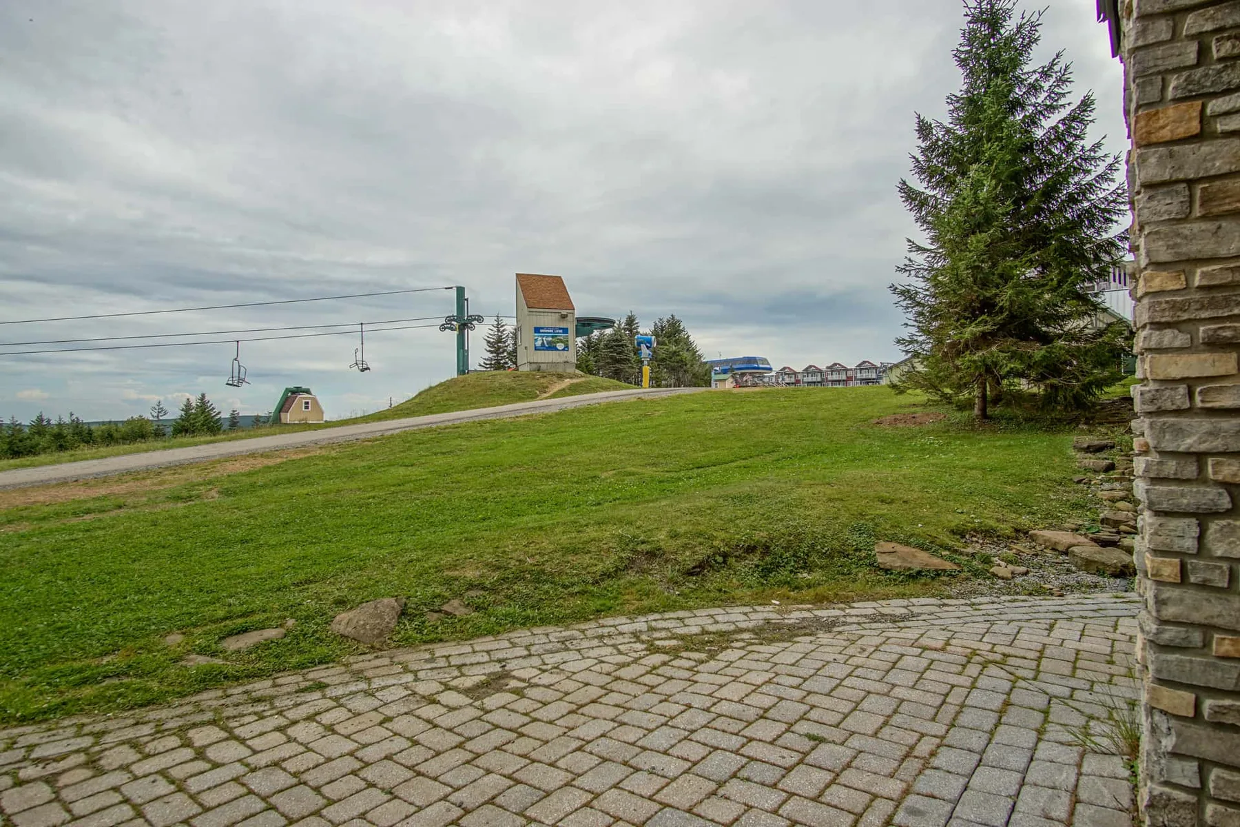 A grassy hillside beside a paved walkway, with a road and trees in the background.