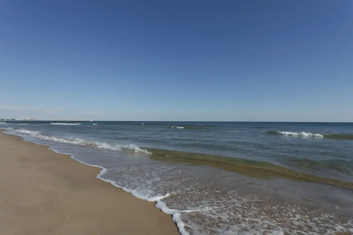 A sandy beach meets calm waves beneath a clear blue sky.